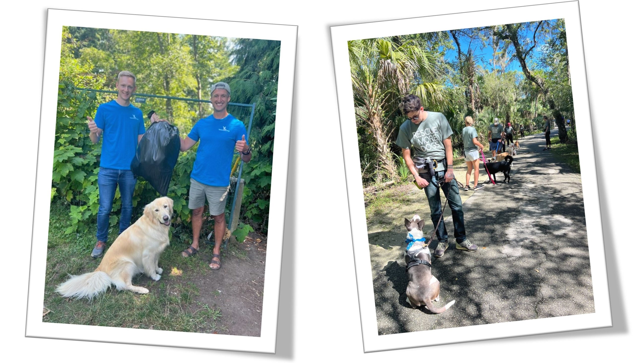 Two photos of Yukon Learning team members volunteering at a clean up event and a dog rescue.